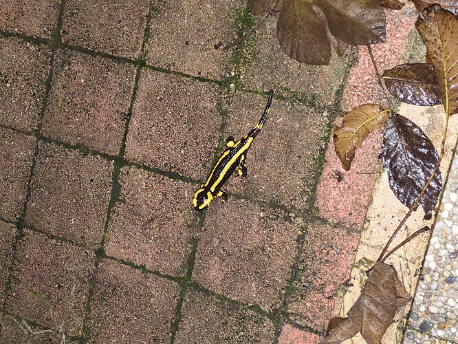 2025-11-06-19-08-07-203