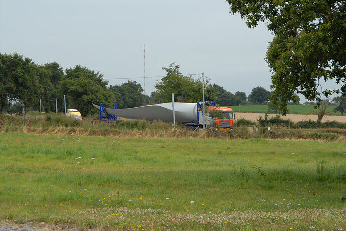 25 July DSC_vvv0001 (2)