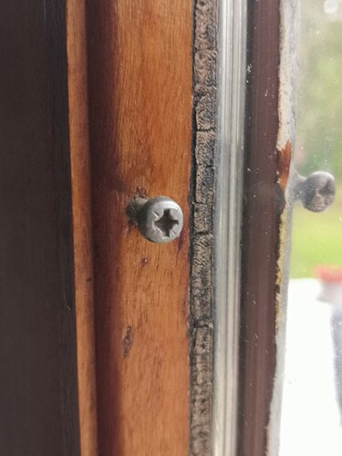 IMG_20231017_104907 (Large)