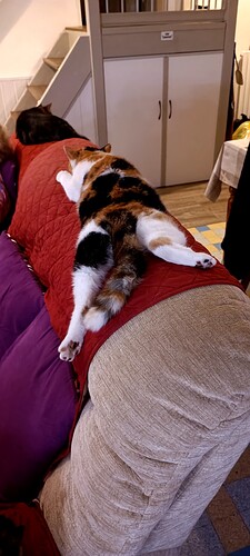IMG_20231028_171817