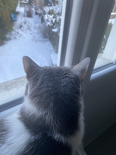 IMG-7e72df4a31a554ce7e24173b3c04ce6c-V