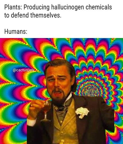 FB_IMG_1643179629922.thumb.jpg.10d2341b4f5ae2c2bb3cb58fc95e7b90