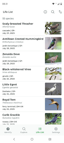 Screenshot_20250803-083122.Merlin Bird ID