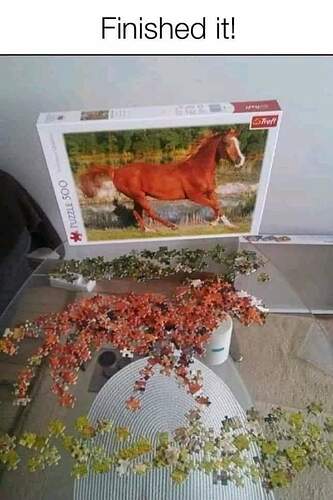 FB_IMG_1690102624363