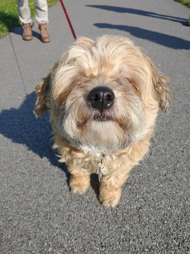 2e1bb427525c881036f7731f26412334f6423778_2_750x1000