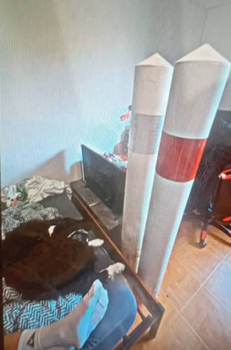 Screenshot_20260821-070414_Facebook