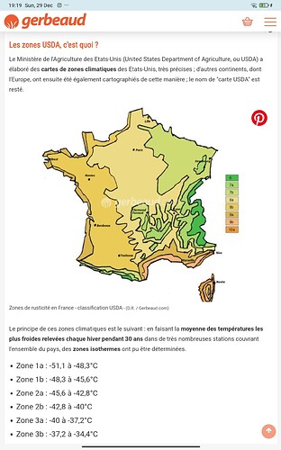 Screenshot_2024-12-29-19-19-39-141_com.android.chrome