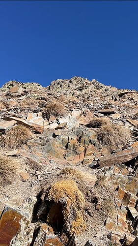 IMG_0755