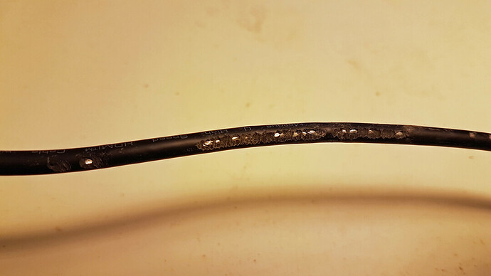 mouse nibbled hdmi cable