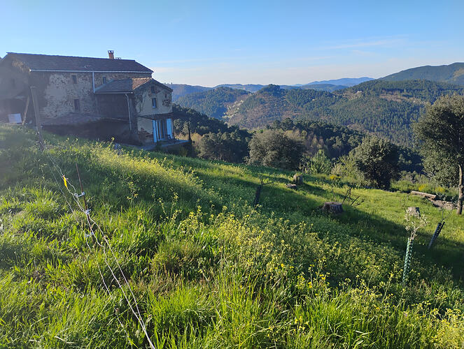 IMG_20260409_092645242