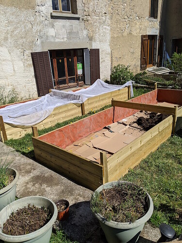 raisedbed2