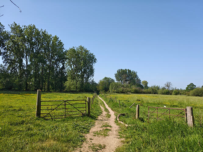 MVIMG_20260525_100904