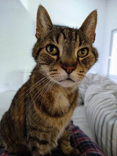 IMG_20200425_101000010