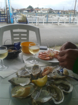 Oysters Sea France Move