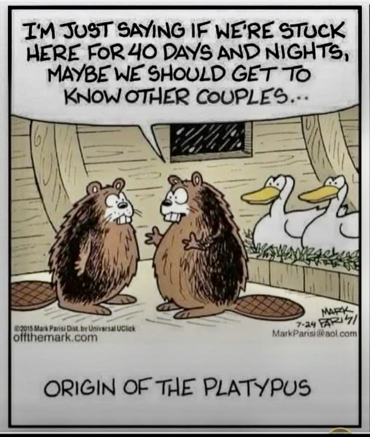 A little mid-week humour to lighten the mood - #6975 by Susannah ...