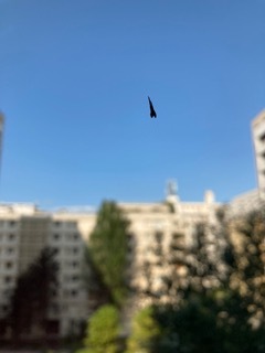 IMG_6591.jpeg