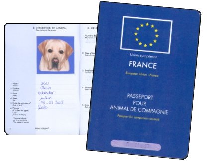 passeport-chien