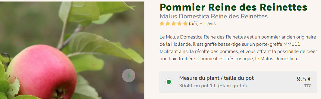 Website to order apple trees - Gardening - Survive France