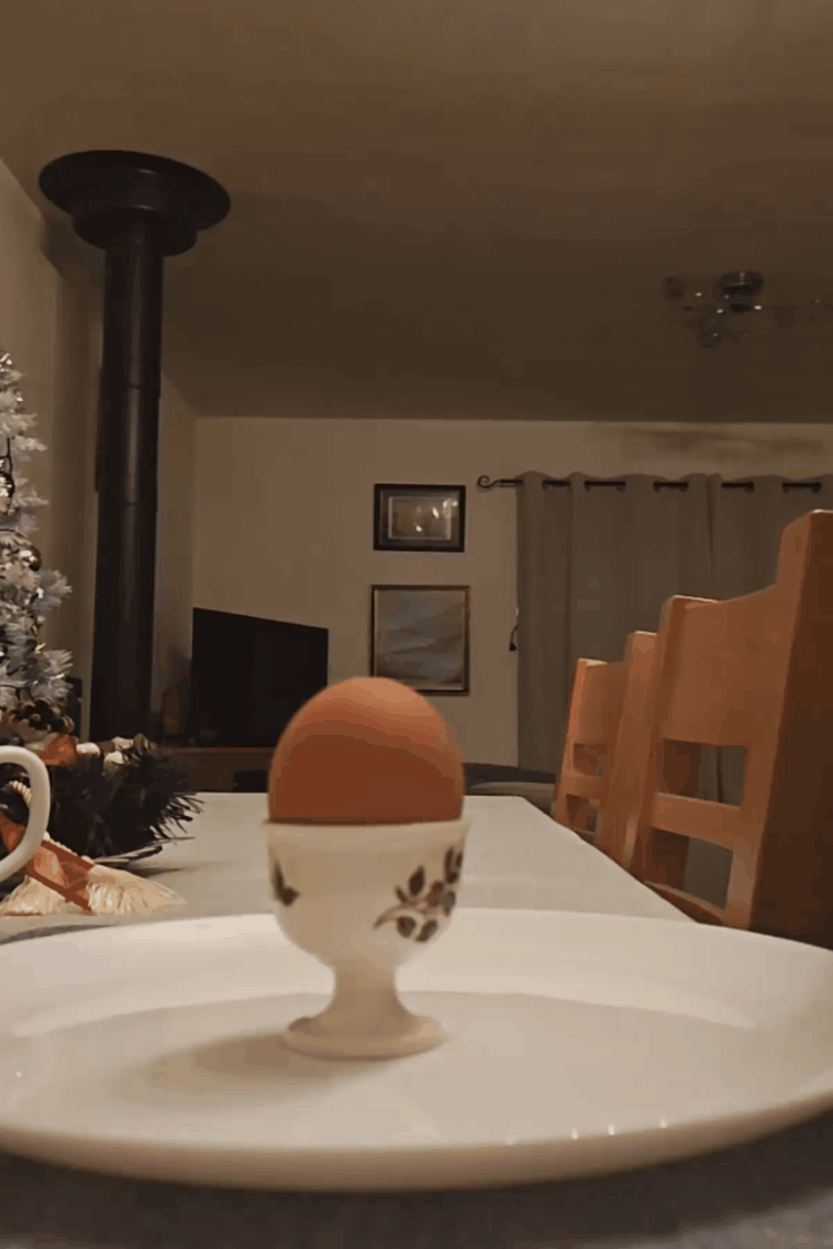 egg donker gif