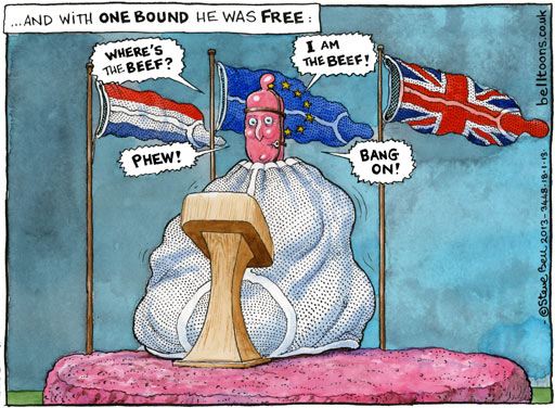 18012013 Steve Bell on Cameron