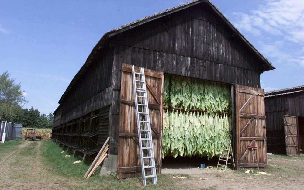 save a lot tobacco shed Transformation of the old Tobacco Drying Sheds - General Discussion