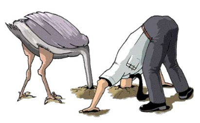 ostrich