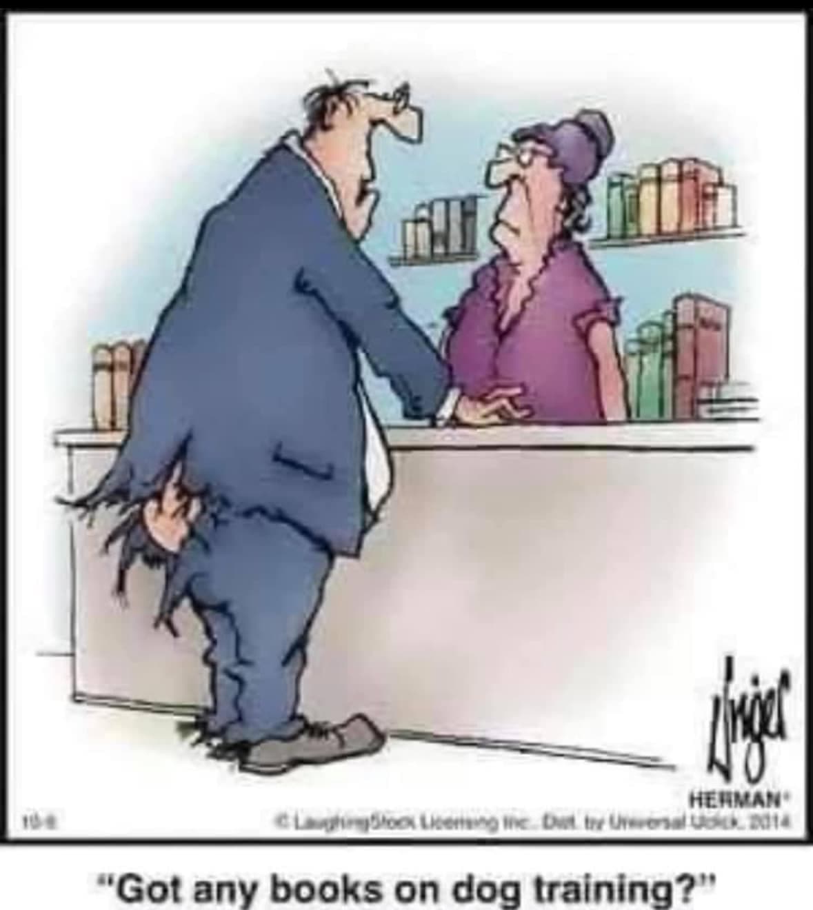 A little mid-week humour to lighten the mood - Page 215 - Comedy/Humour ...