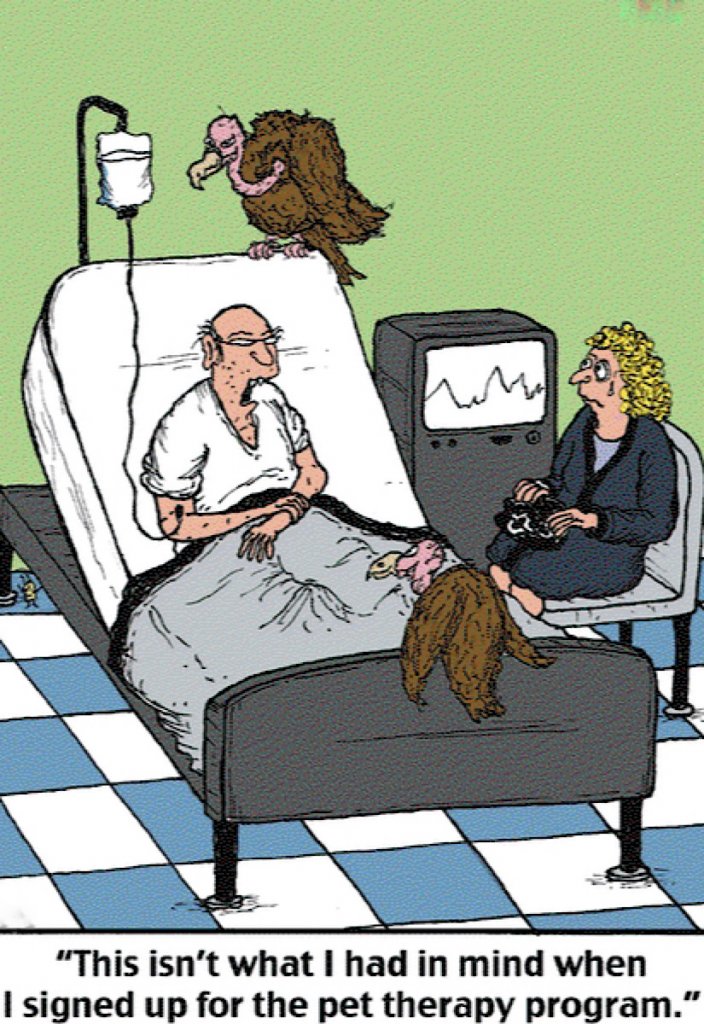 A little mid-week humour to lighten the mood - Page 298 - Comedy/Humour ...