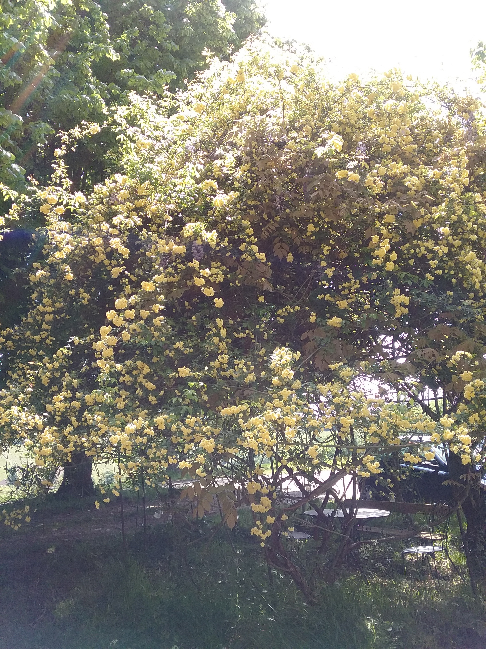 20180502_131518