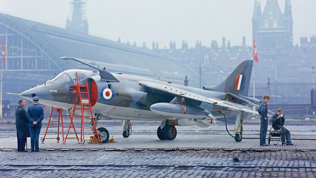 harrier 02