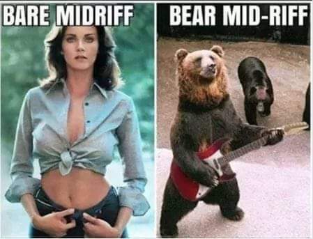 Bear midriff