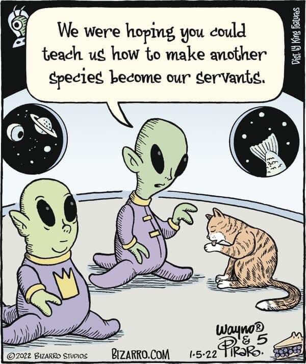 A little mid-week humour to lighten the mood - Page 131 - Comedy/Humour ...