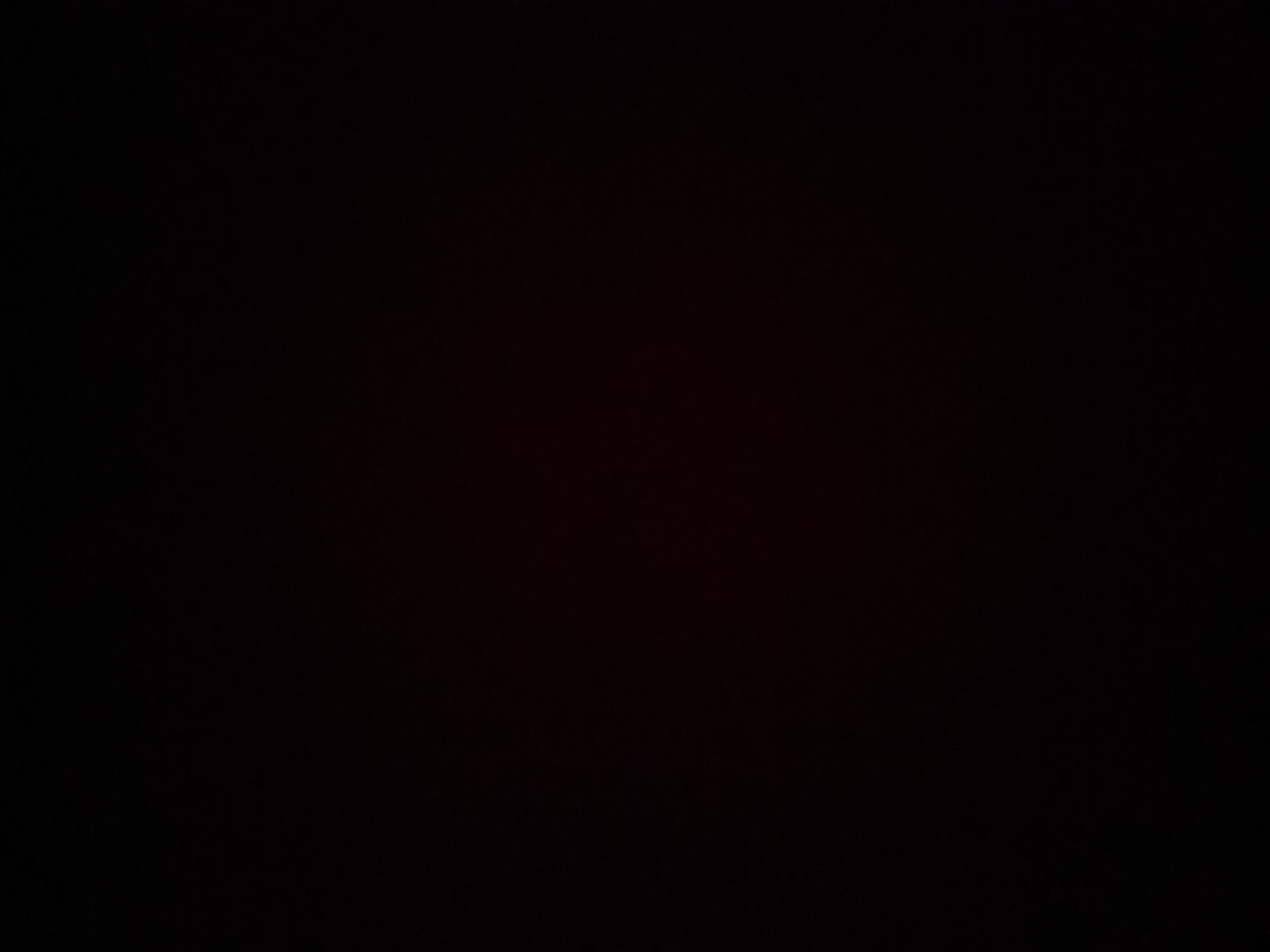 20190216_112401