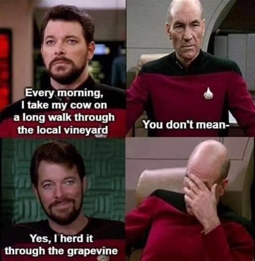 FB_IMG_1702375250894