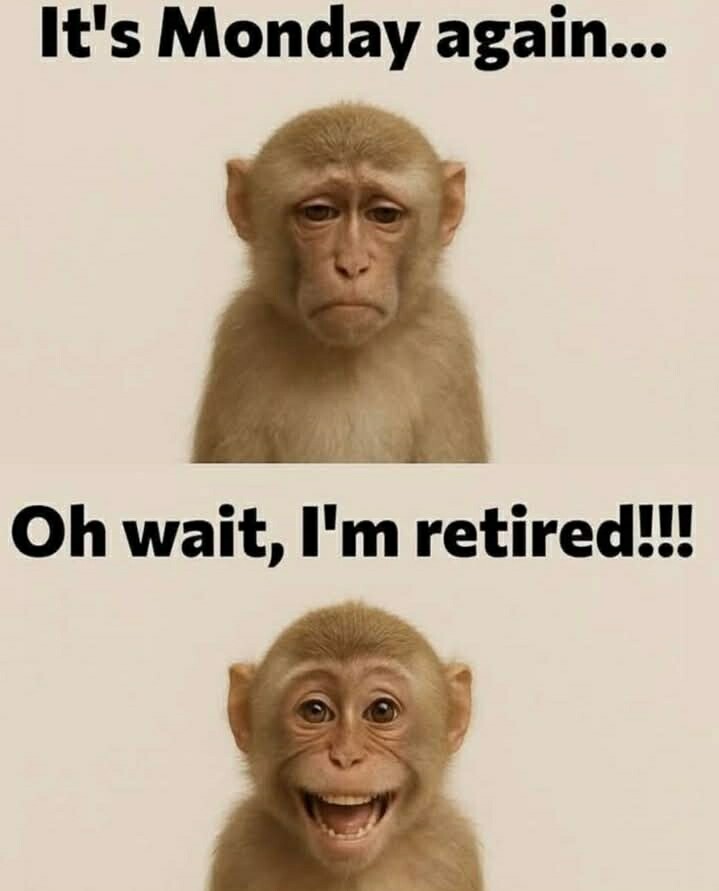 A little mid-week humour to lighten the mood - Page 295 - Comedy/Humour ...