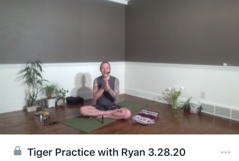 Online Live Yoga! General Discussion Survive France